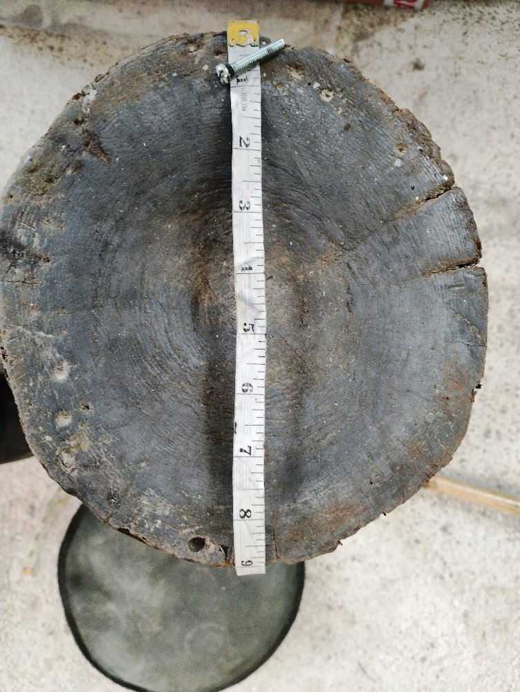 Shrinking stump1.jpg