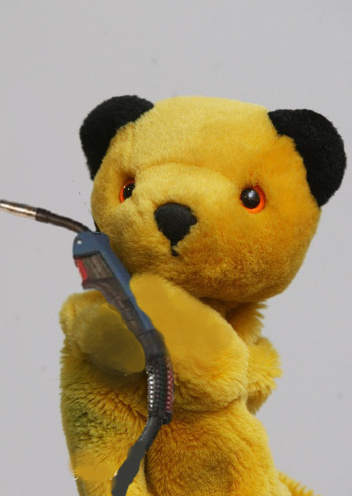 sooty welds.jpg