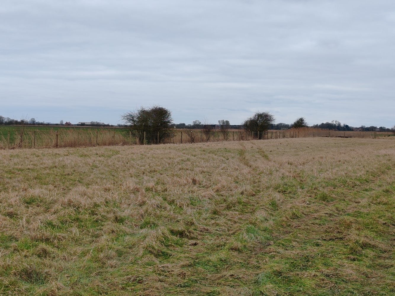 stock fence feb 2025.jpg