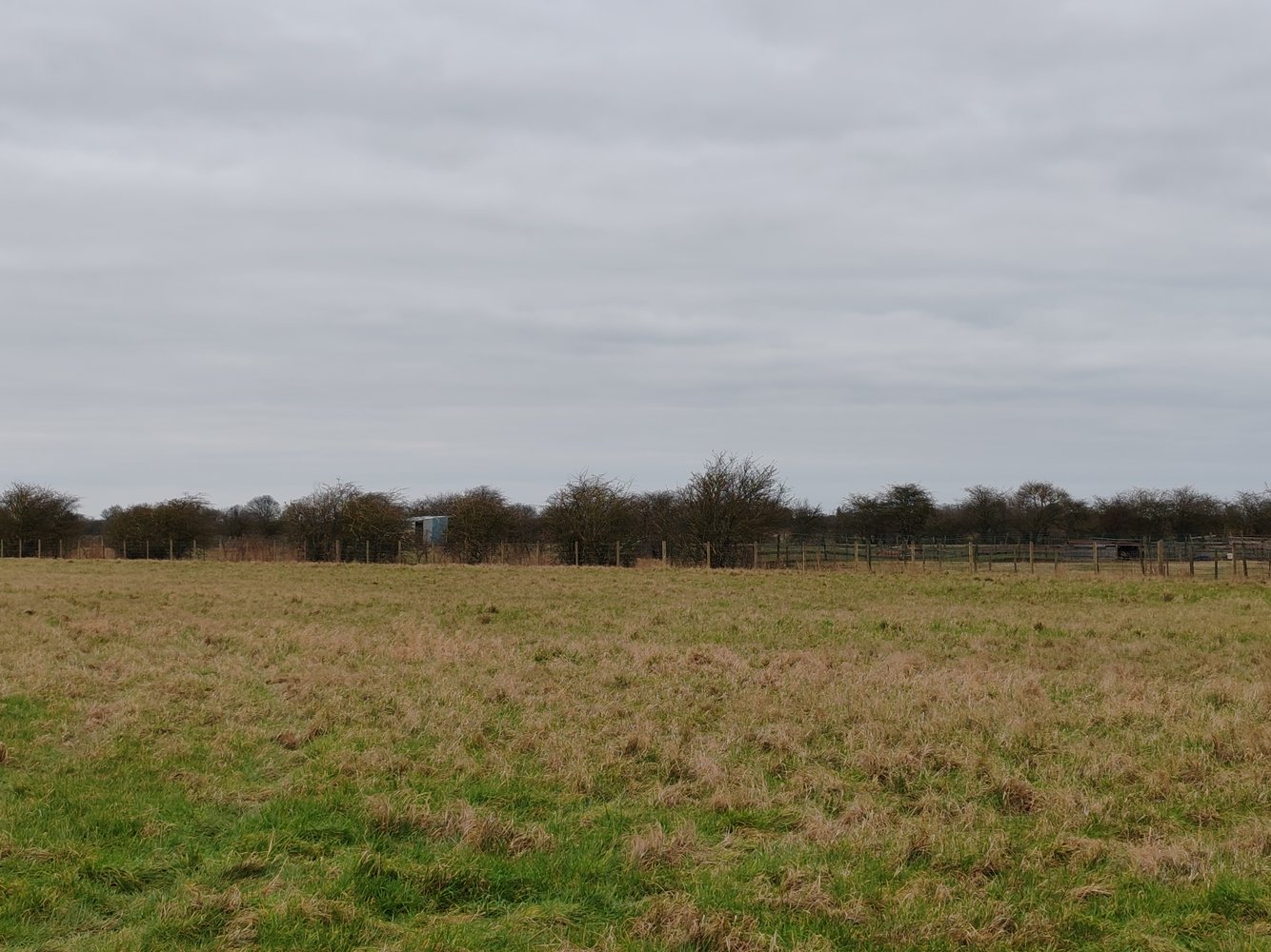 Stock fence1 feb 2025.jpg