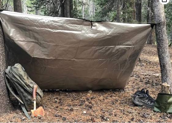 survival blanket.PNG