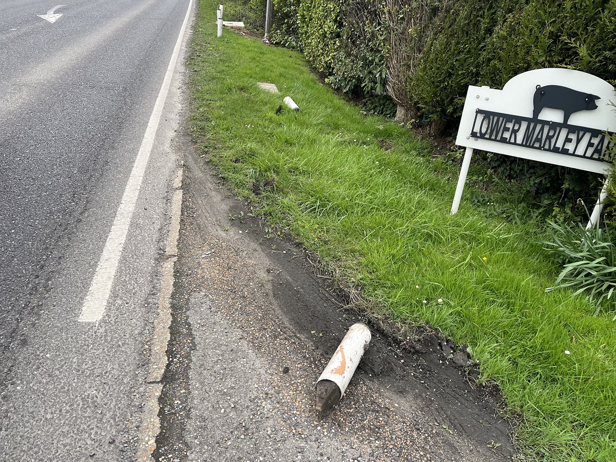 Surviving-Sign-reduced.jpg