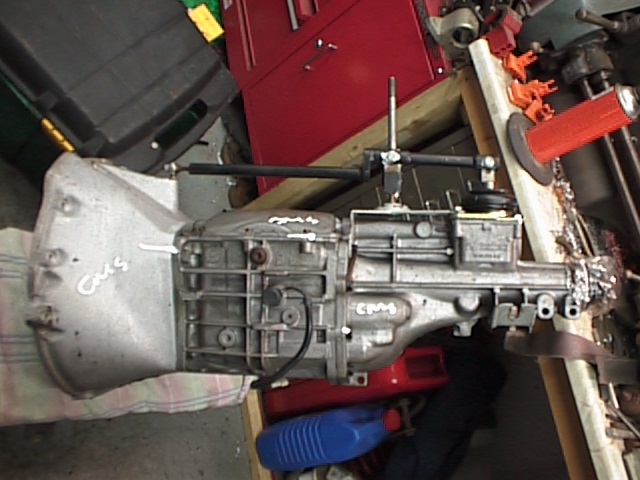 T5-002.jpg