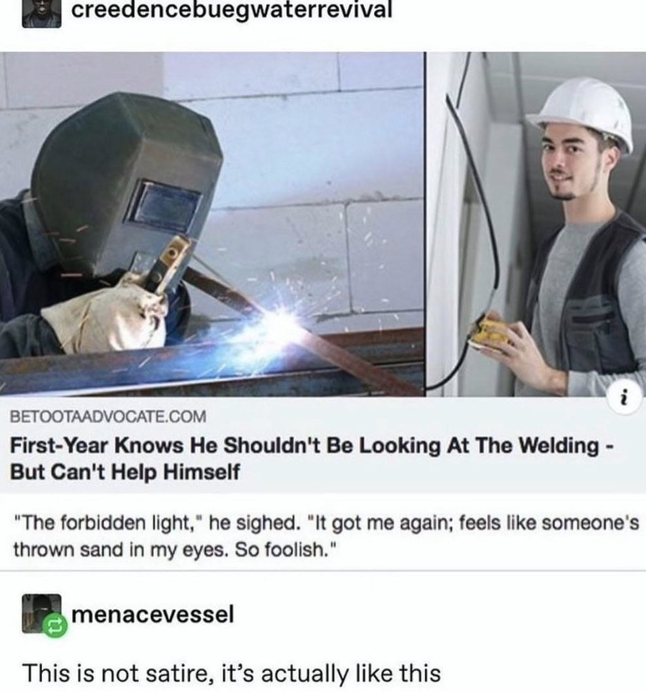 t9bt9m2qq5n41.jpg