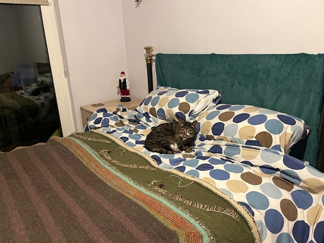 Tarzan in bed.jpg
