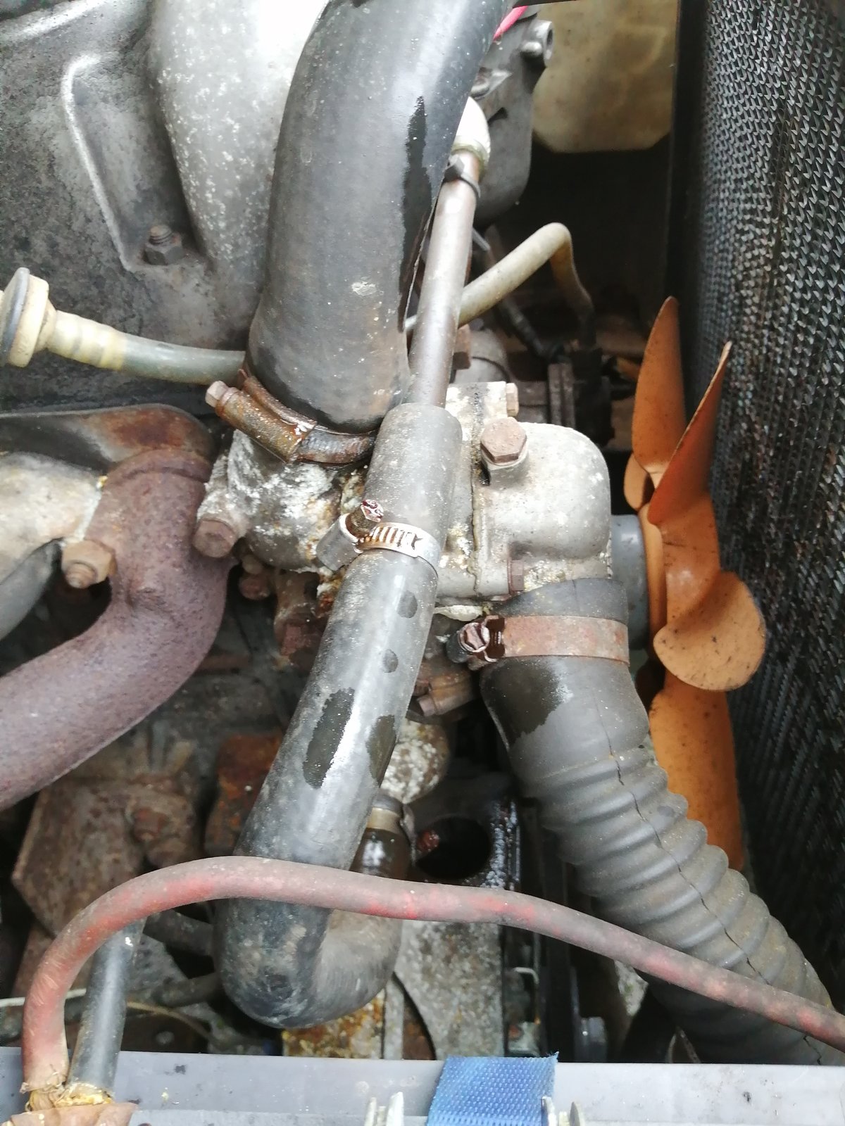 Thermostst housing.jpg