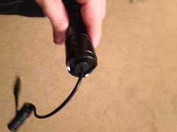 torch 1.png