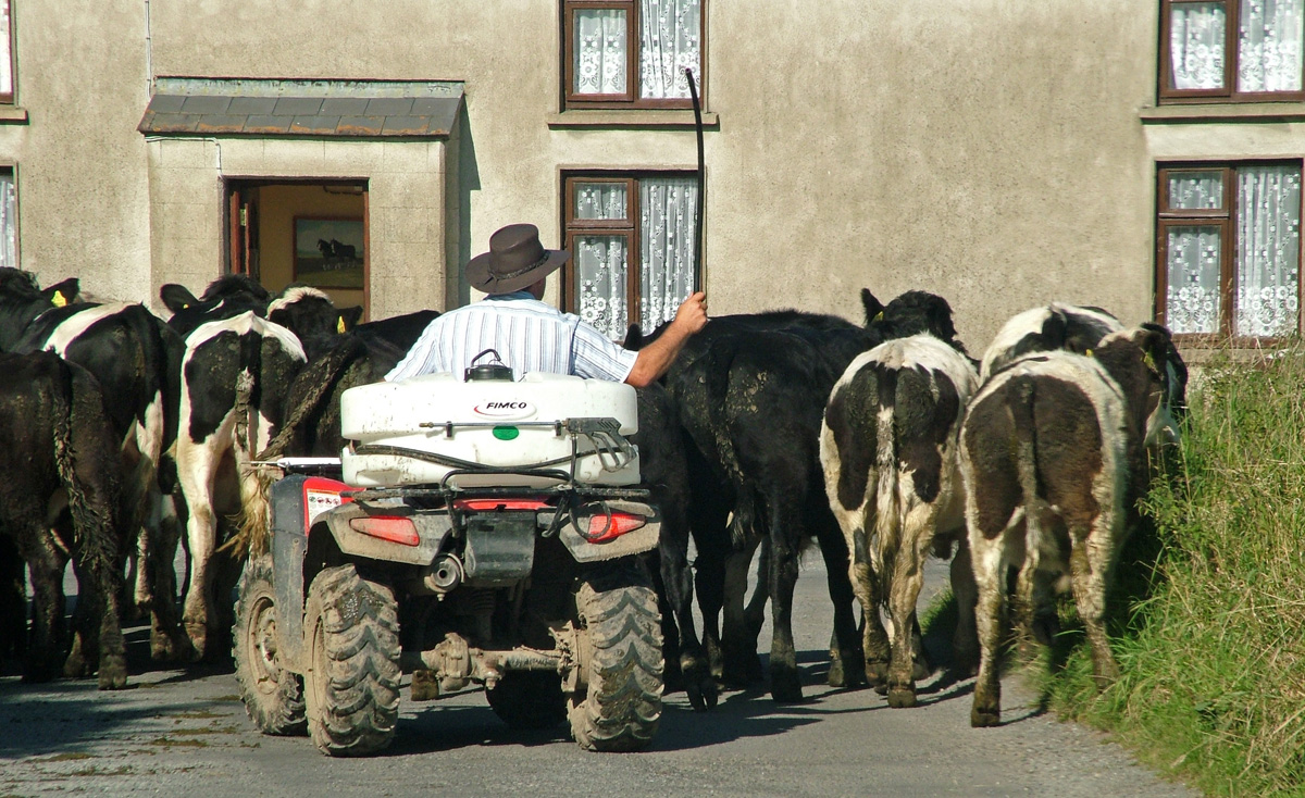 traffic-jam.jpg