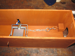 Trap in box with tape.jpg