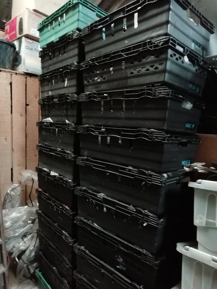 trays 1.jpg