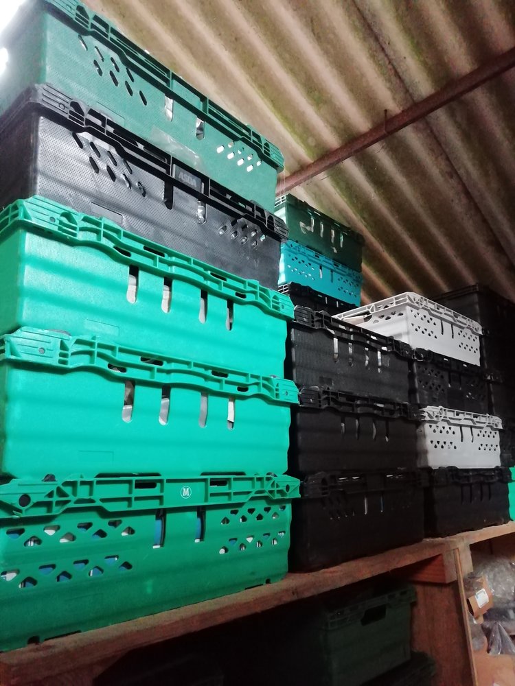 trays 2.jpg