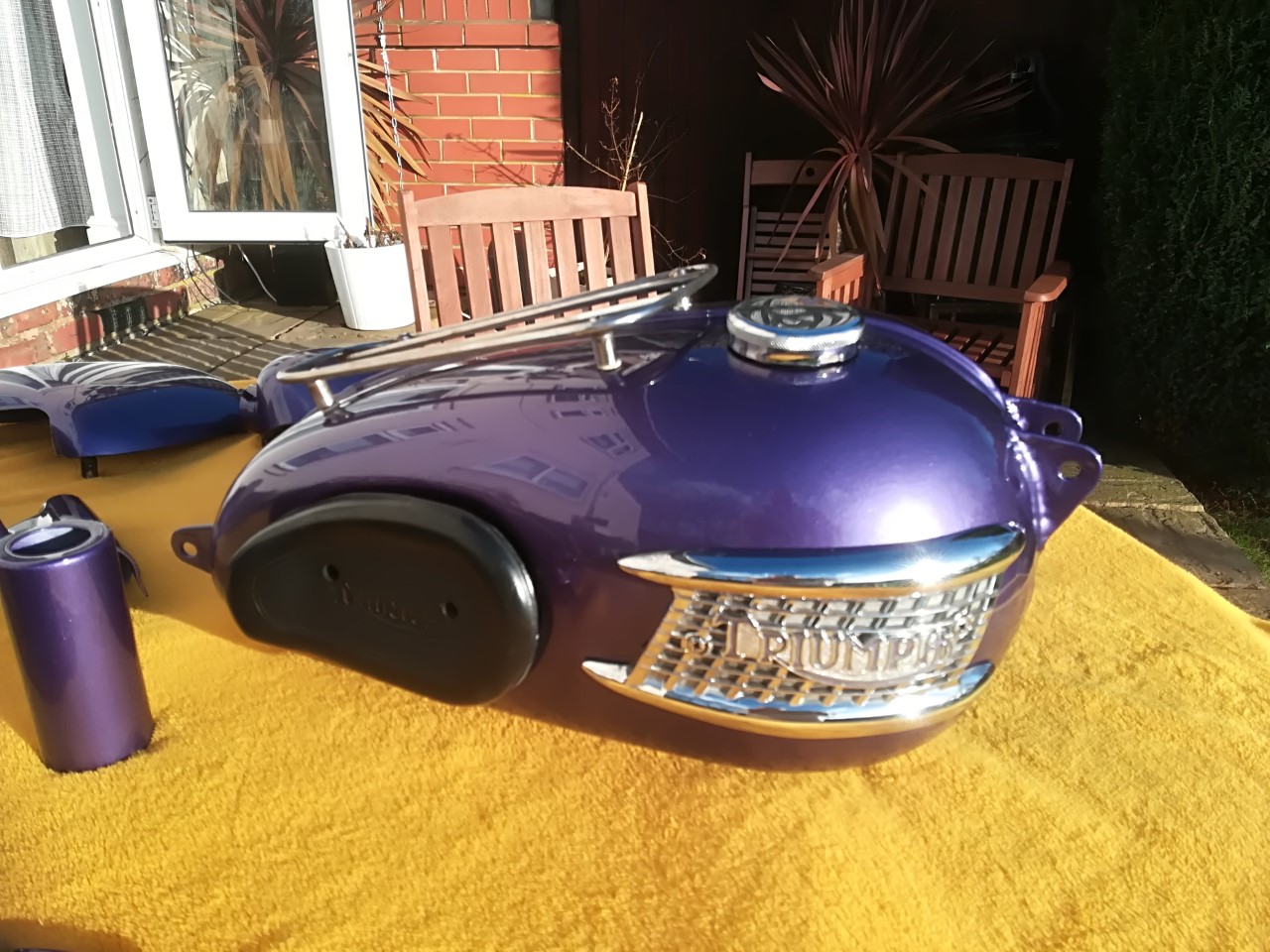 triumph19.jpg