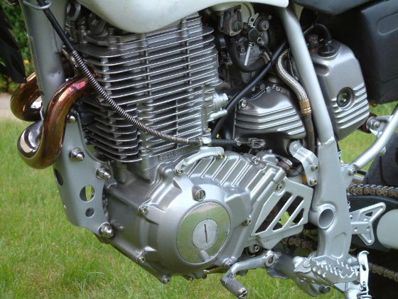 ttr00007.JPG