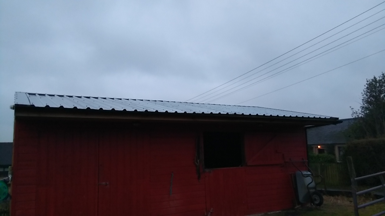 untitled (3).png