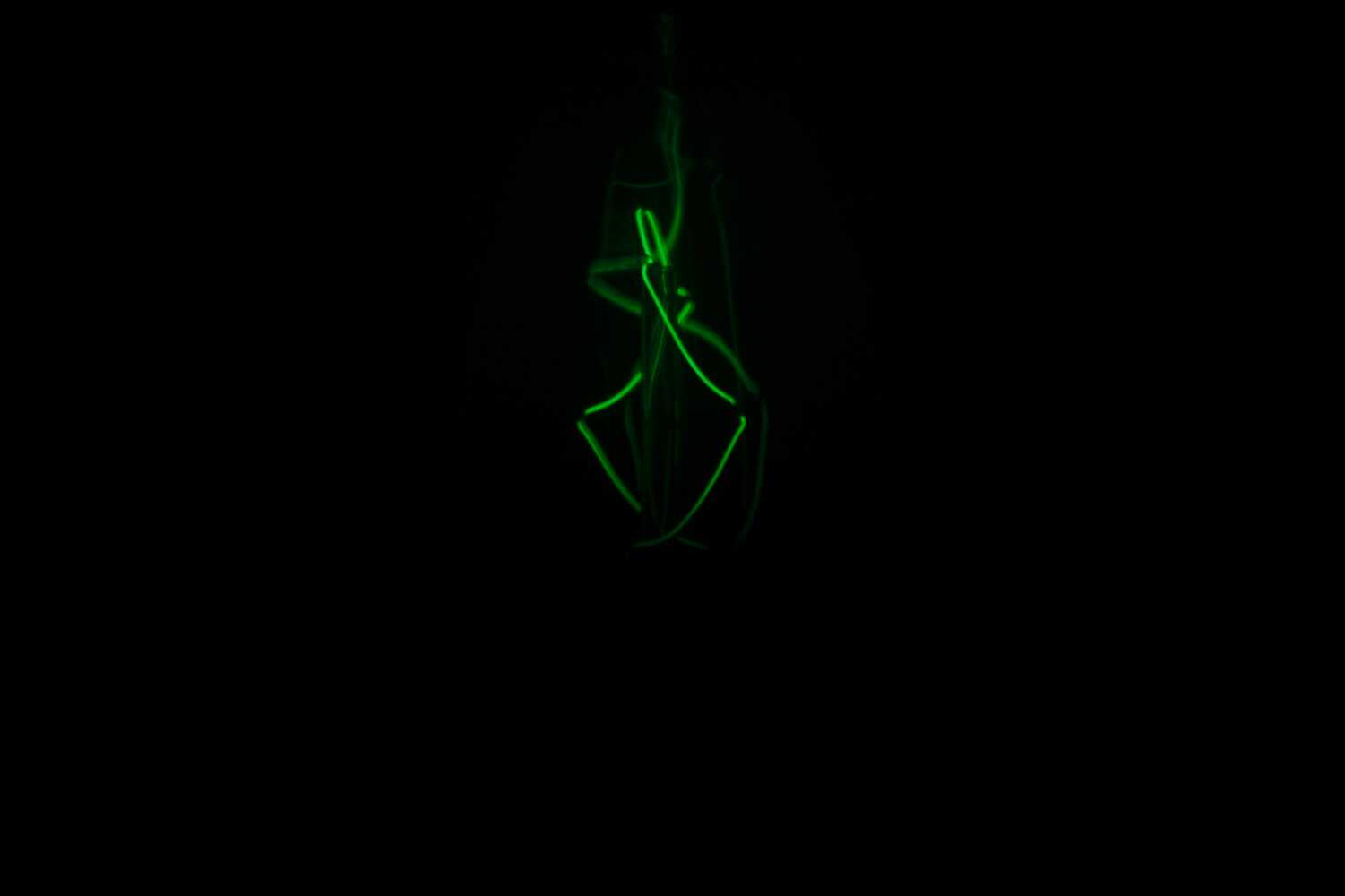 upload_2018-11-19_21-12-36.png