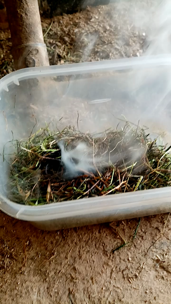 VID_20220513_092312_0.png