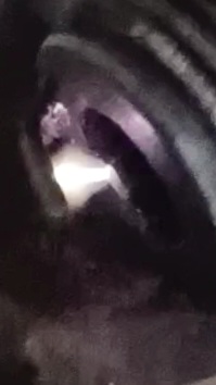 VideoCapture_20220507-123234.jpg