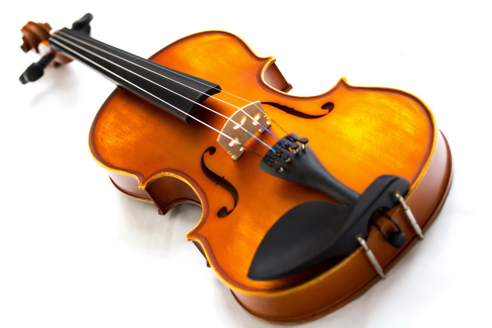 violin-06.jpg