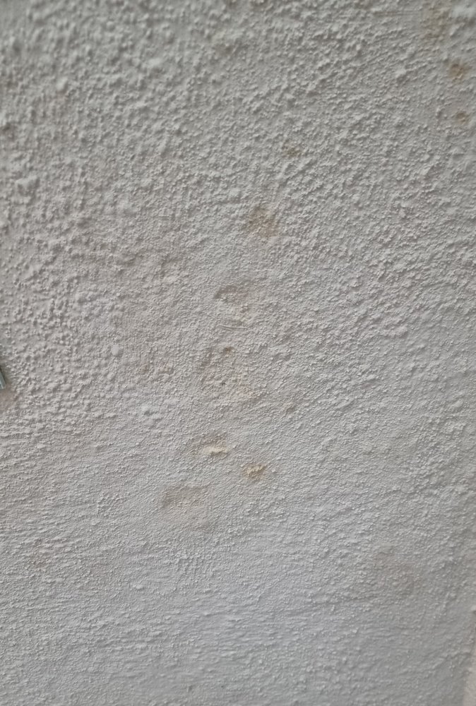 wall.jpg