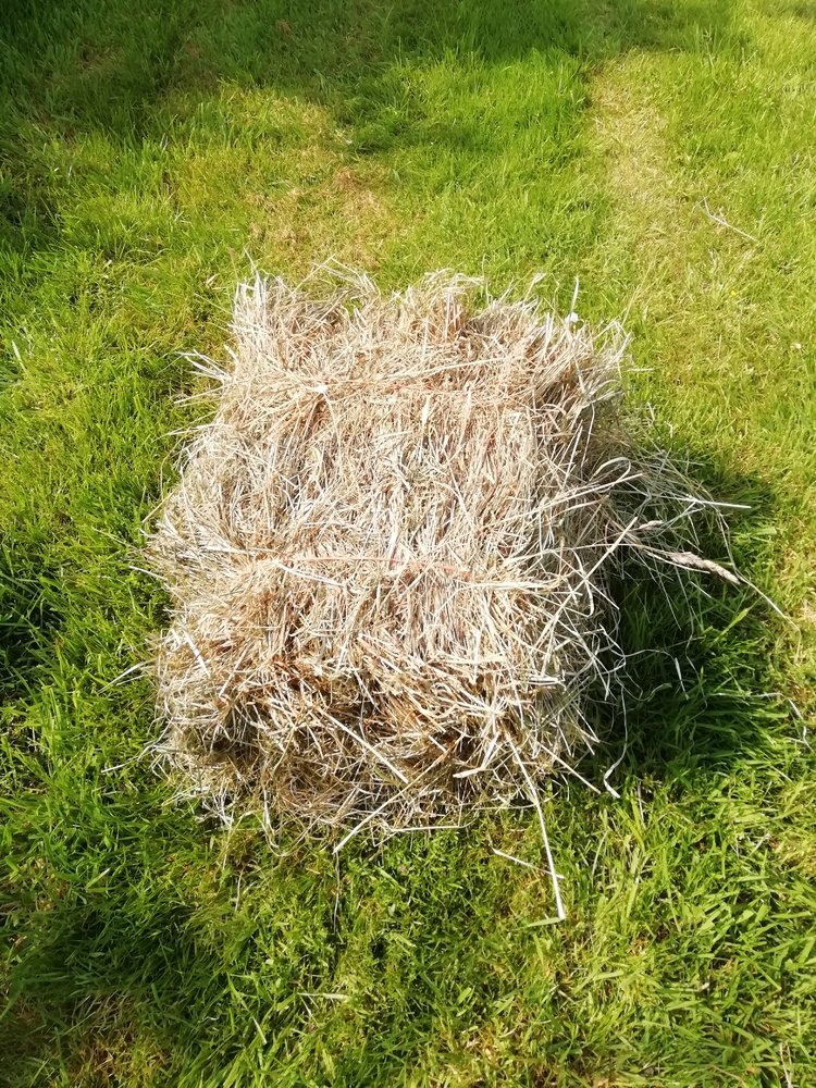 weeny bale 2021.jpg