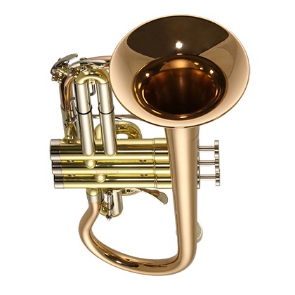 Welcome to brass page webiste image.jpg