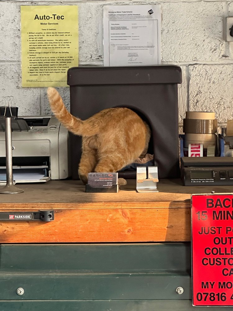 WhatsApp Image 2024-08-19 at 08.12.24 (1).jpeg