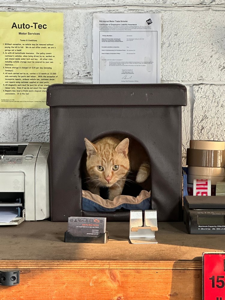 WhatsApp Image 2024-08-19 at 08.12.24.jpeg