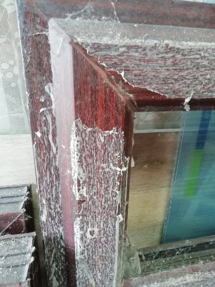 windows 2.jpg