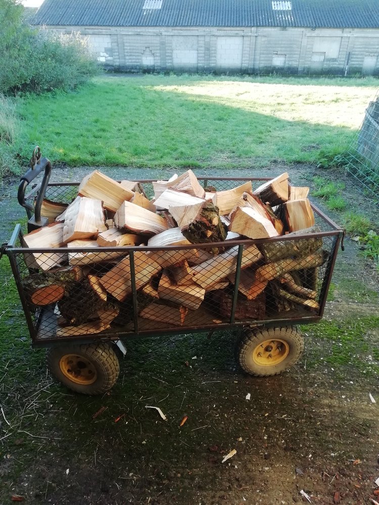 wood 1 jan 2023.jpg