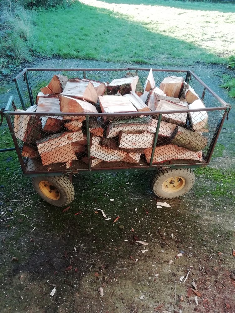 wood 2 jan 2023.jpg