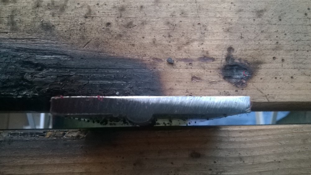 WP_20140312_010.jpg