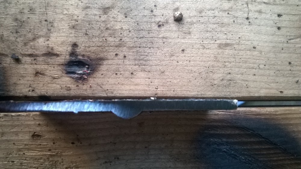 WP_20140312_011.jpg