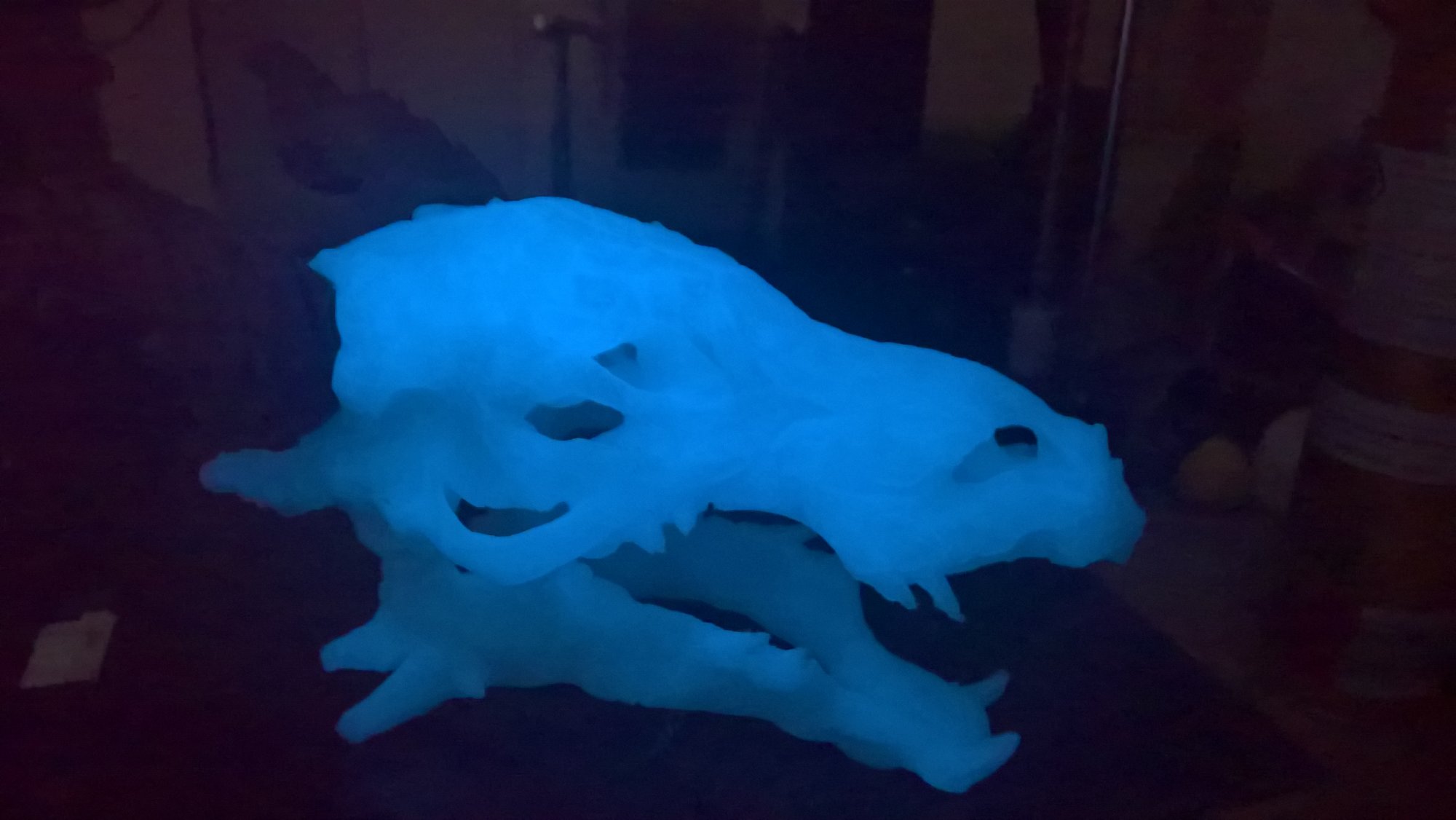 WP_20190221_01_58_19_Pro.jpg