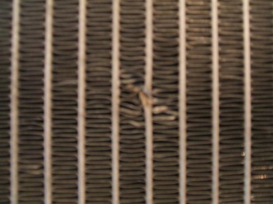 DSCF0132small.JPG