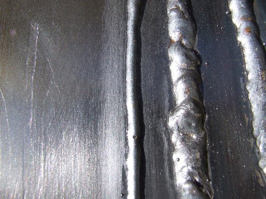 2007_0316Gardenandwelding0063.JPG
