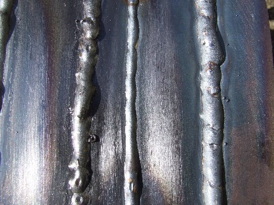 2007_0316Gardenandwelding0067.JPG