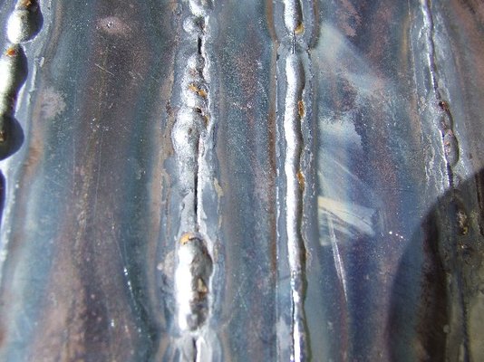 2007_0316Gardenandwelding0068.JPG