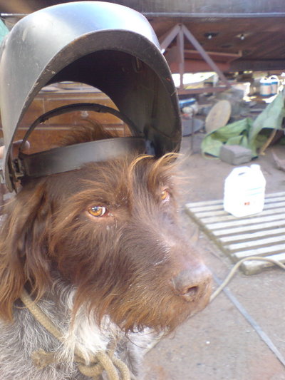 dog weld.jpg