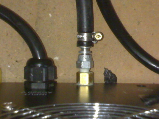 hosetail1.jpg