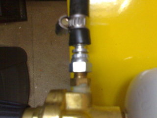 hosetail2.jpg