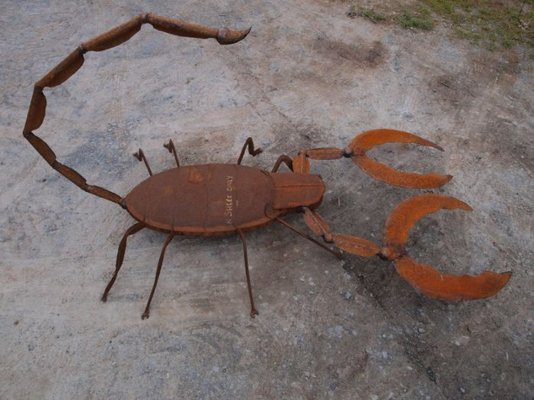 scorpion1.jpg scorpion1.jpg