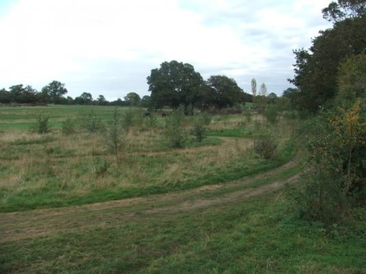 08 buggytrack028.jpg
