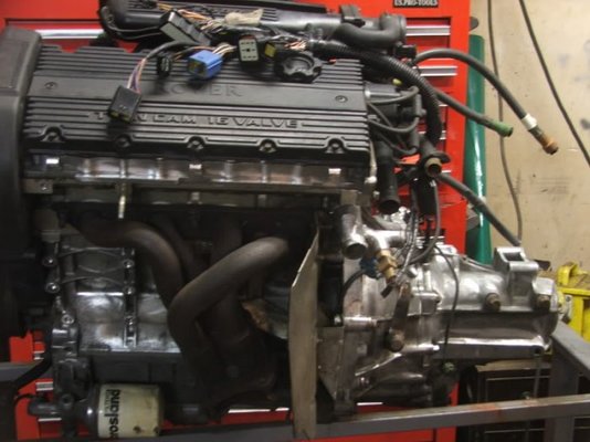 MGFBUGGY11028.jpg
