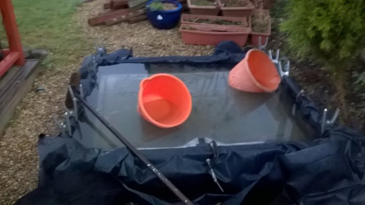 WP_20161228_001.jpg