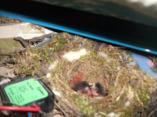 DSCF1180.JPG