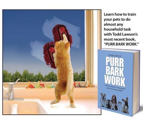 floor-sweeping-dog-shoes-7.jpg