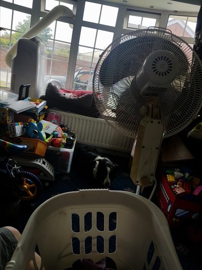 20170619_161239.jpg