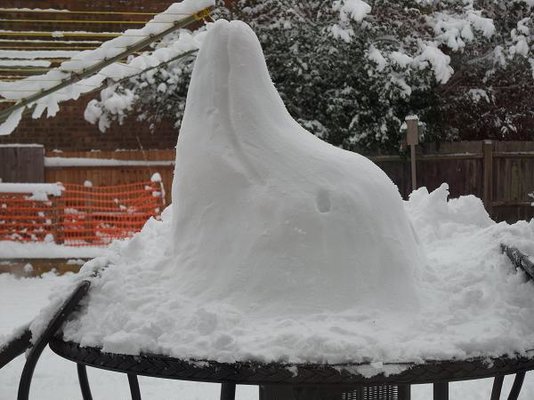 Snow_dolphin2.JPG