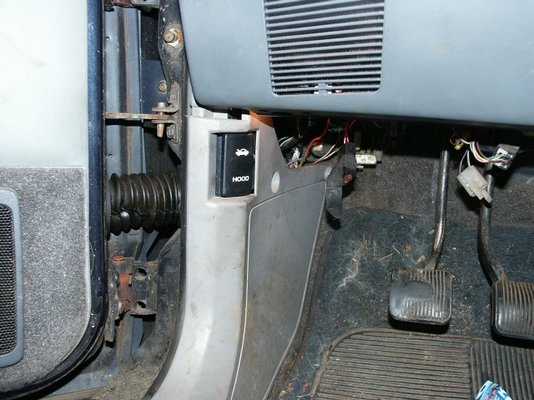 PICT1065.jpg