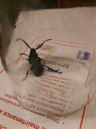 IMAG3176.jpg